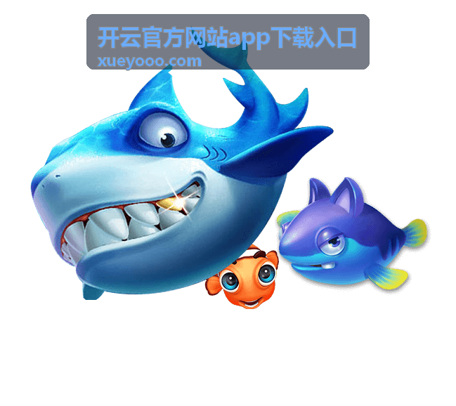 套餐与权益说明中的续期规则示意